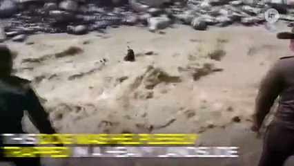 Colombian Cops Risk Lives To Save Dog Trapped In A Landslide