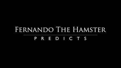 Fernando the Hamster Group G 23 June USA vs Portugal