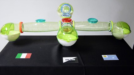 Fernando the Hamster Group D 25 June Italy vs Uruguay