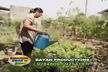 Mushroom Business is Profitable as Well