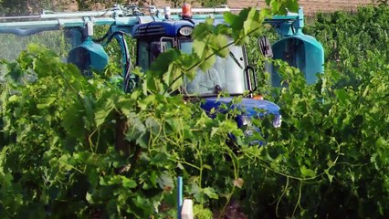 [Innovation] EvaSprayViti, réduction de la pulvérisation de phytosanitaire en viticulture