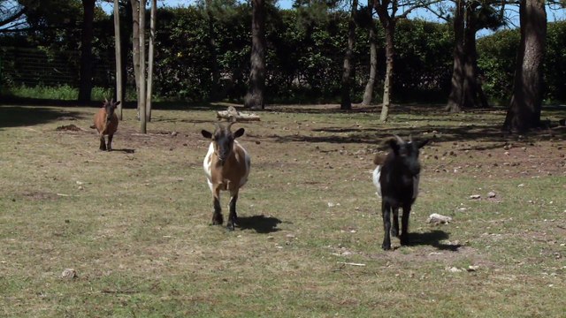 Les jeunes font leur cinéma - Domaine de Port aux Rocs - Film 1