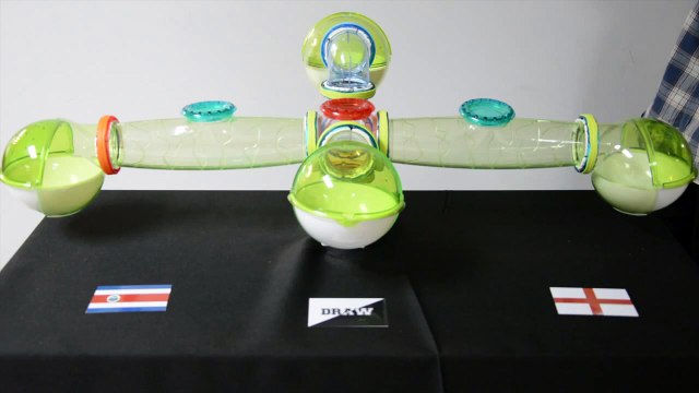 Fernando the Hamster Group D 25 June Costa Rica vs England