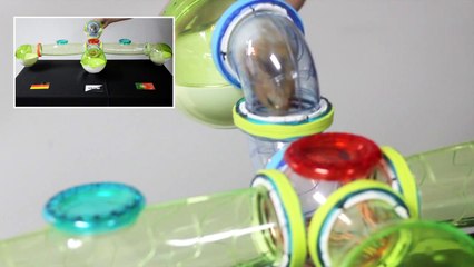 Fernando the Hamster: Group G 17 June - Germany VS Portugal