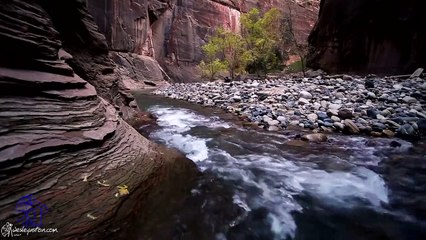 Zion Narrows