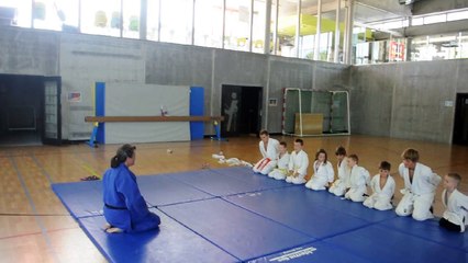 Stage judo multisports "la surprise" 2015