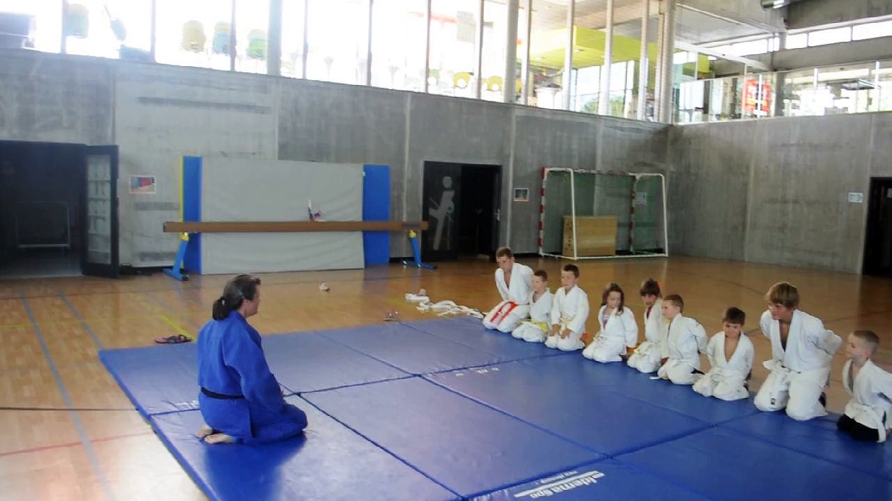 Stage judo multisports "la surprise" 2015