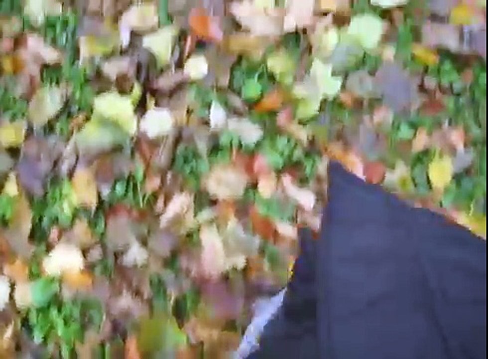 3) Scalza a Monaco di Baviera - Barfuss in München