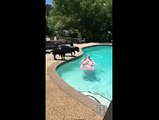 Un chien attaque sa maîtresse dans la piscine. Plus de respect !