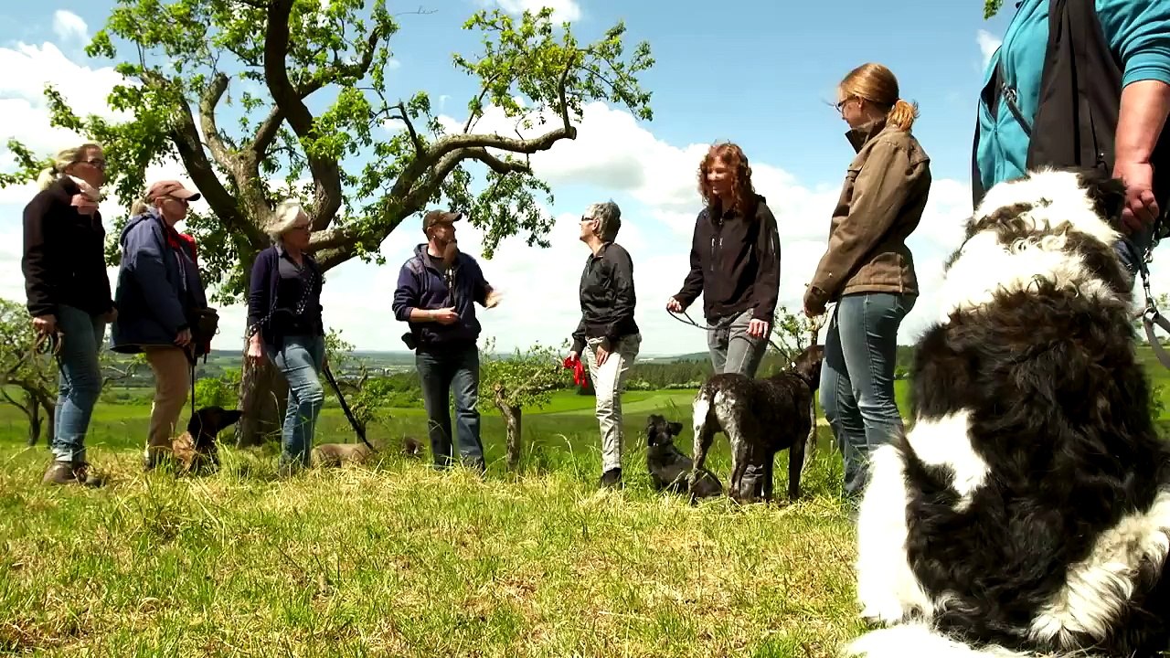 Die erste Lektion für den Hund: "Sitz" - Holger Schüler erklärt wie es geht