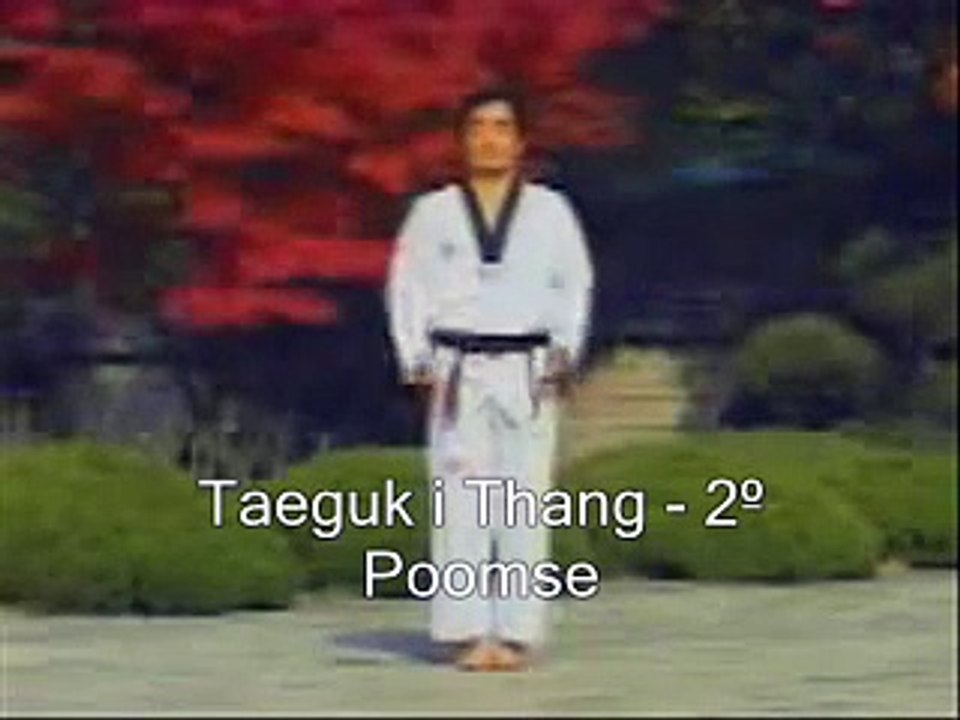 TaeKwonDo - Poomse