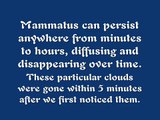Mammatus Clouds by: Doug Brassine