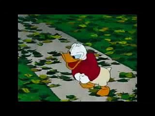 DONALD & DAFFY DUCK CARTOON 2016 HD