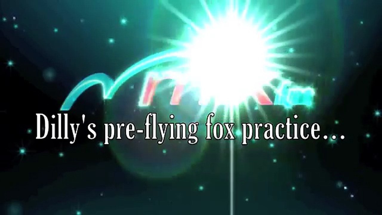 Pre-Flying Fox Practice
