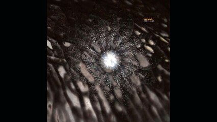 Luciano - Rise Of Angel (Original Mix)