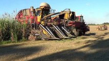 Sugar Cane Harvester in Australia