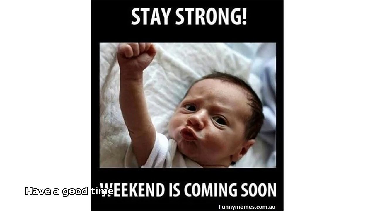 images for funny pictures