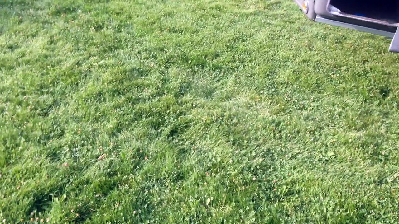 MD BOX  KÖPEK TAŞIMA KAFESİ 2015