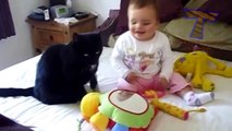 Funny cats and babies playing together   Cute cat & baby compilation