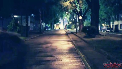 ⚜ What have we become ⚜