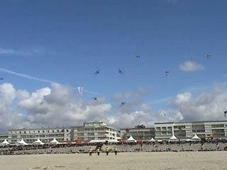 Cerf-volant Berck 2006 Tame Bird