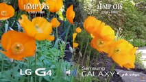 LG G4 vs Galaxy S6 Edge   Back Camera Video Test split screen comparison
