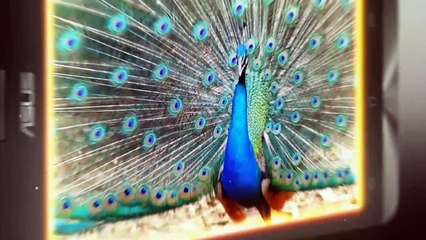 Event chào mừng Subscribe thứ 100.000 - Zenphone 5