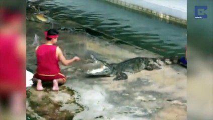 La grosse frayeur d'un dresseur de crocodile