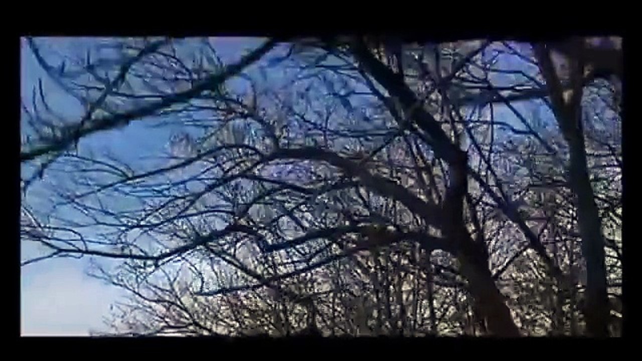 L'Avvocato del Diavolo--Avidità....