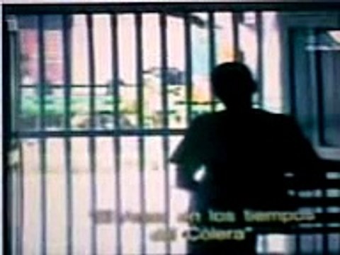 El amor en los tiempos del colera