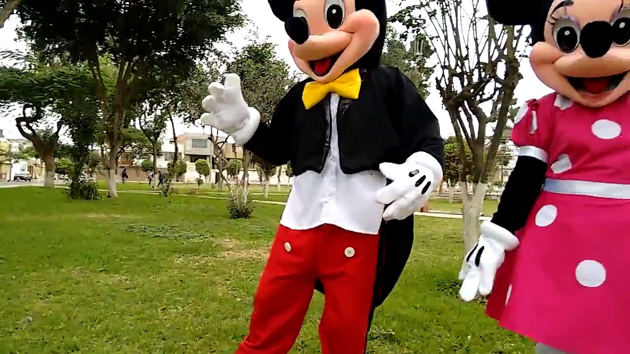 Disfraces mickey mouse y minnie VENTA 200 ALQUILER 40 EUROS ESPAÑA 0034-671211419 PERU 51-965359880