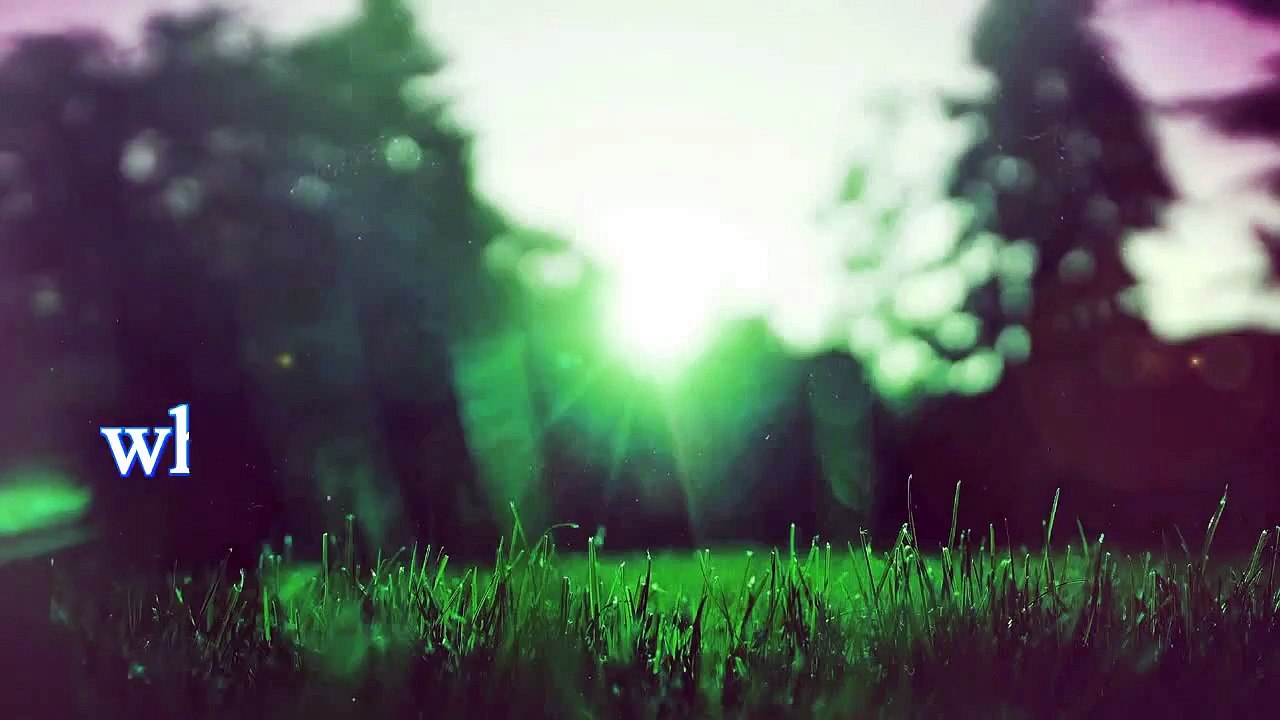 when animals attack human 2016 | extreme animal attack videos | Crazy Animal Attack HD