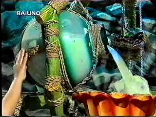 Italian Disney club gunging 1