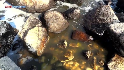 Bisceglie - Molfetta: reportage su Condotta sottomarina e trivelle