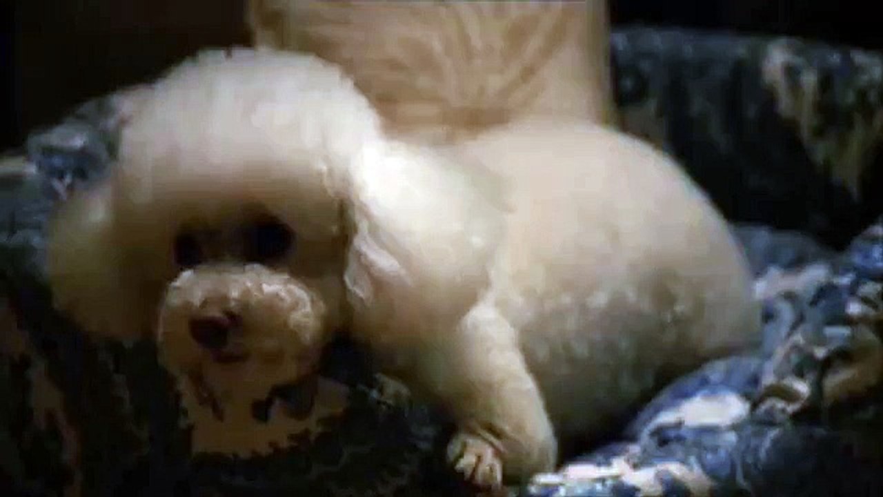 Buffalo Bill Dances To Q Lazzarus' Goodbye Horses - Silence Of The Lambs