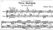Bohuslav Martinů  - Three Madrigals for Violin & Viola, H. 313 (SCORE-VIDEO)