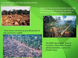 Environmental Issues