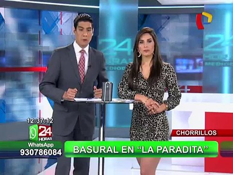 Intensa nevada deja varias localidades de Puno incomunicadas