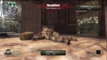 Call of Duty Black Ops | BEASTLY M14 on Jungle | Team Deathmatch 4 Gameplay