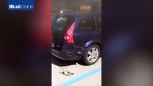 Les plastiques de cette voiture stationnée plusieurs jours au soleil ont fondu
