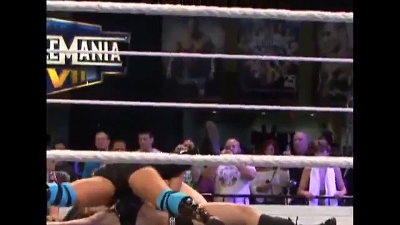 WWE Paige Finished