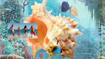 Buon Ferragosto 2015