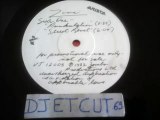 ZINC -Punkulation Special DJ Sampler(RIP ETCUT)ARISTA PROMO REC 82