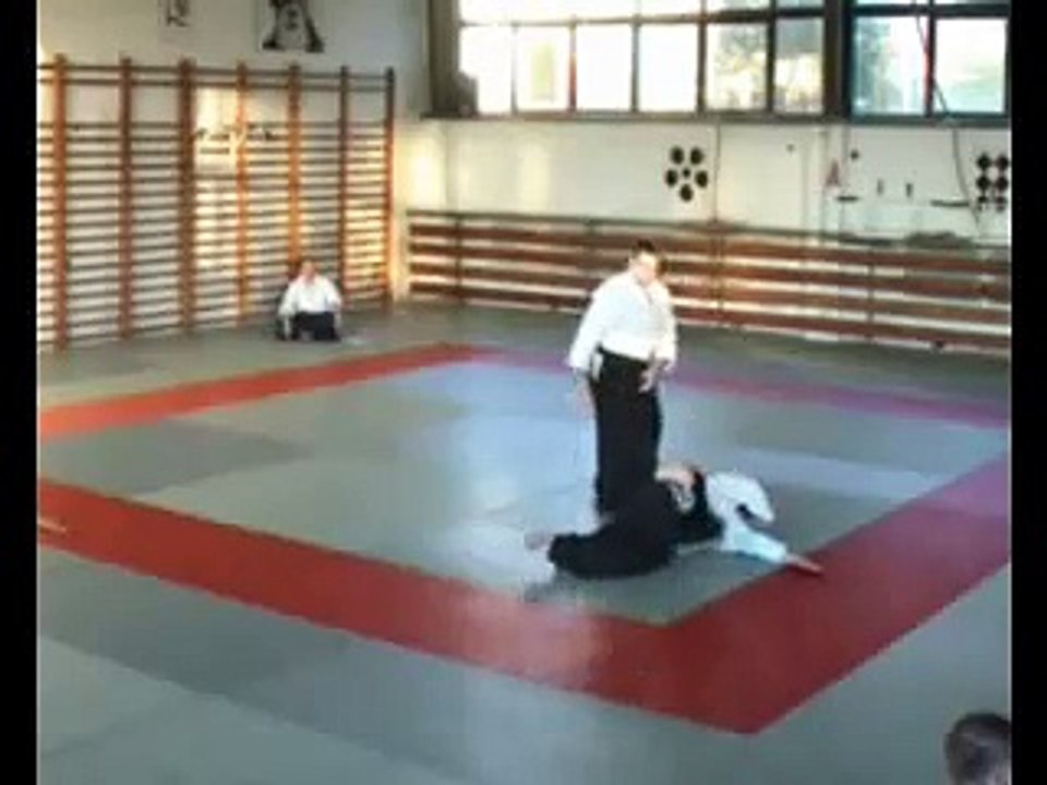 Aikido Nidan Examination