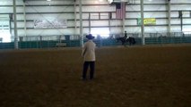 For Sale - Proven Show APHA Mare - black/white overo GREAT BEGINNERS HORSE