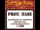 Stefan Raab - Professor Hase - Stefan´s Schallplatte (CD)