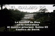 La Bondad de Dios - Salmo 65 Una Reflexión para La Juventud - Paisajes de La Sierra