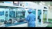 BYD Solar Panel Manufacturing and Assembly