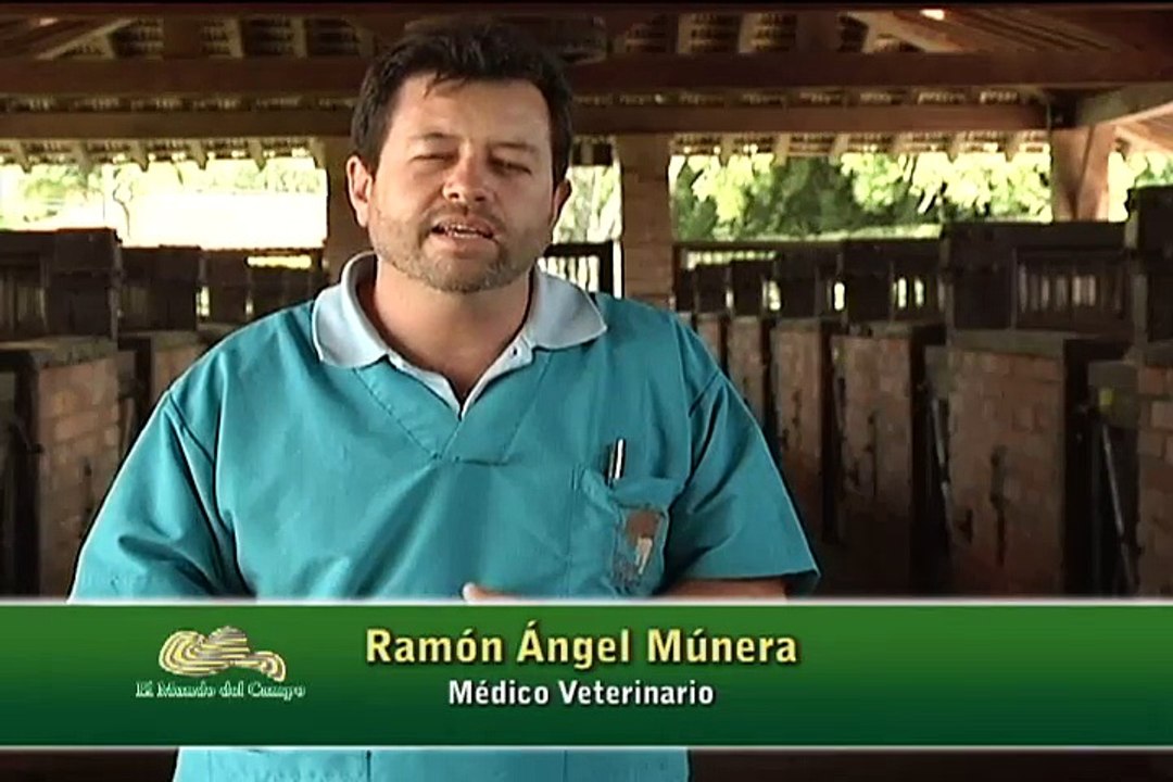 14 de agosto de 2015 REPROVET