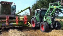 Jahresrückblick in der Landwirtschaft 2013 / Landwirtschaft in Ostfriesland